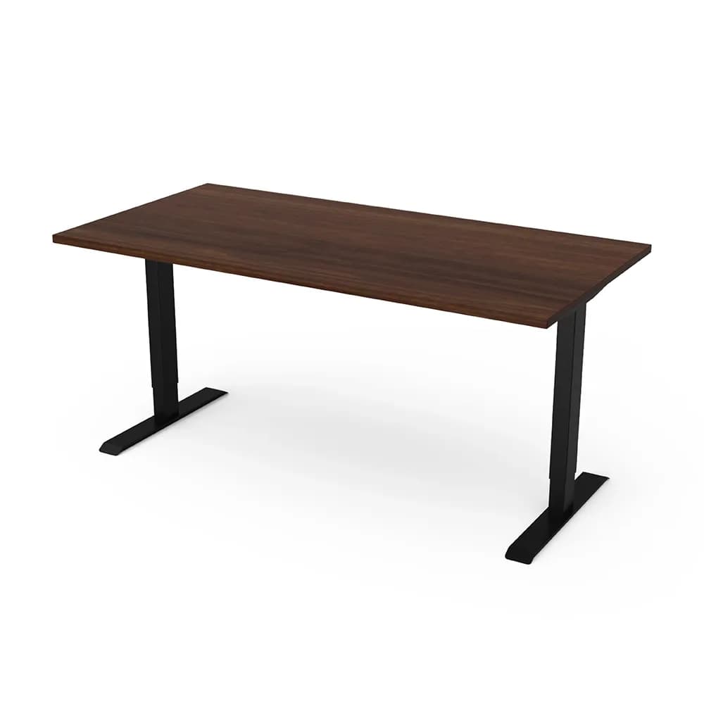 Flex Active Sit-to-Stand Table | Spectrum Furniture in Chippewa