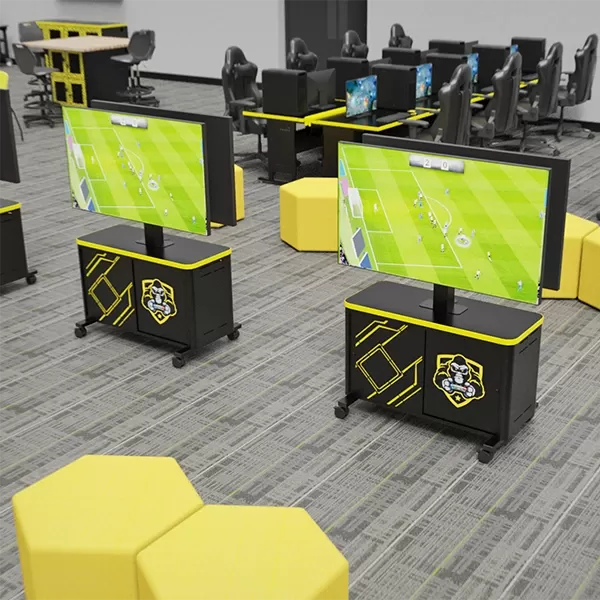 Console Gaming Stations