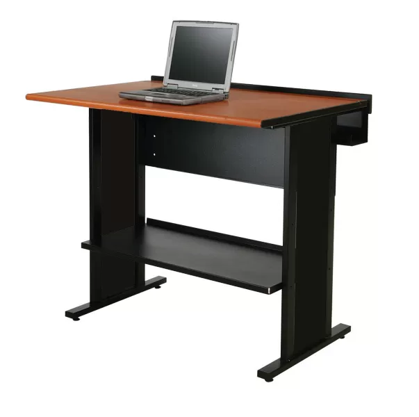 Evolution Stand Up Desk